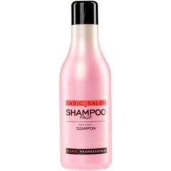 Universaalne juuksešampoon Stapiz Basic Salon Fruit 1000 ml цена и информация | Шампуни | kaup24.ee