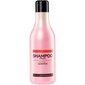Universaalne juuksešampoon Stapiz Basic Salon Fruit 1000 ml hind ja info | Šampoonid | kaup24.ee