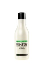 Stapiz Basic Salon Lily Of The Valley šampoon 1000 ml цена и информация | Шампуни | kaup24.ee
