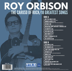 Vinüülplaat Roy Orbison hind ja info | Vinüülplaadid, CD, DVD | kaup24.ee