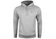 Meeste dressipluus Tommy Hilfiger TJM REGULAR FLEECE HOODIE, hall DM0DM09593 P01 28216 цена и информация | Meeste T-särgid | kaup24.ee