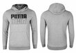 Meeste dressipluus Puma POWER HOODIE, hall 589409 03 38143 hind ja info | Meeste spordiriided | kaup24.ee