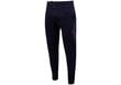 Meeste puuvillased püksid Tommy Hilfiger Essential Tommy Sweatpants Navy MW0MW17384 DW5 25960 цена и информация | Meeste spordiriided | kaup24.ee