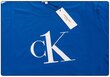 Meeste T-särk Calvin Klein RELAXED CREW TEE BLUE KM0KM00646 C5D 26055 цена и информация | Meeste T-särgid | kaup24.ee