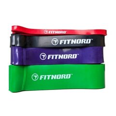 Резинка для сопротивления FitNord: светлая (красная) цена и информация | Тренировочные шины | kaup24.ee
