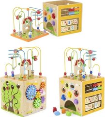 Puidust tegevuskuubik - sorteerija Viga hind ja info | Imikute mänguasjad | kaup24.ee
