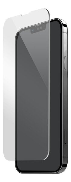 DELTACO ekraanikaitse telefon Apple iPhone 13 Pro Max hind ja info | Ekraani kaitsekiled | kaup24.ee