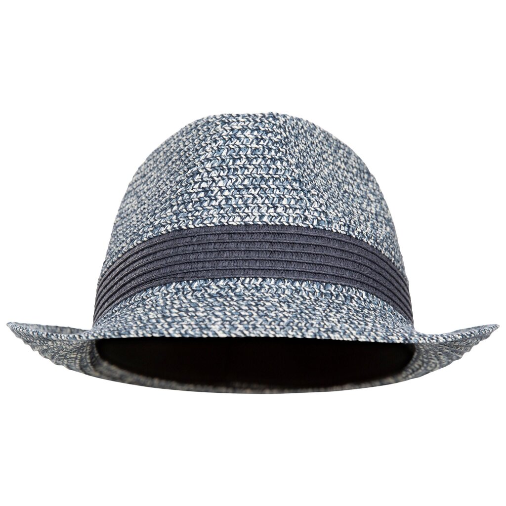 Meeste müts Trespass UAHSHATR0011 - Evanesce - Unisex Adult Trilby Hat hind ja info | Meeste sallid, mütsid ja kindad | kaup24.ee