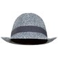 Meeste müts Trespass UAHSHATR0011 - Evanesce - Unisex Adult Trilby Hat hind ja info | Meeste sallid, mütsid ja kindad | kaup24.ee