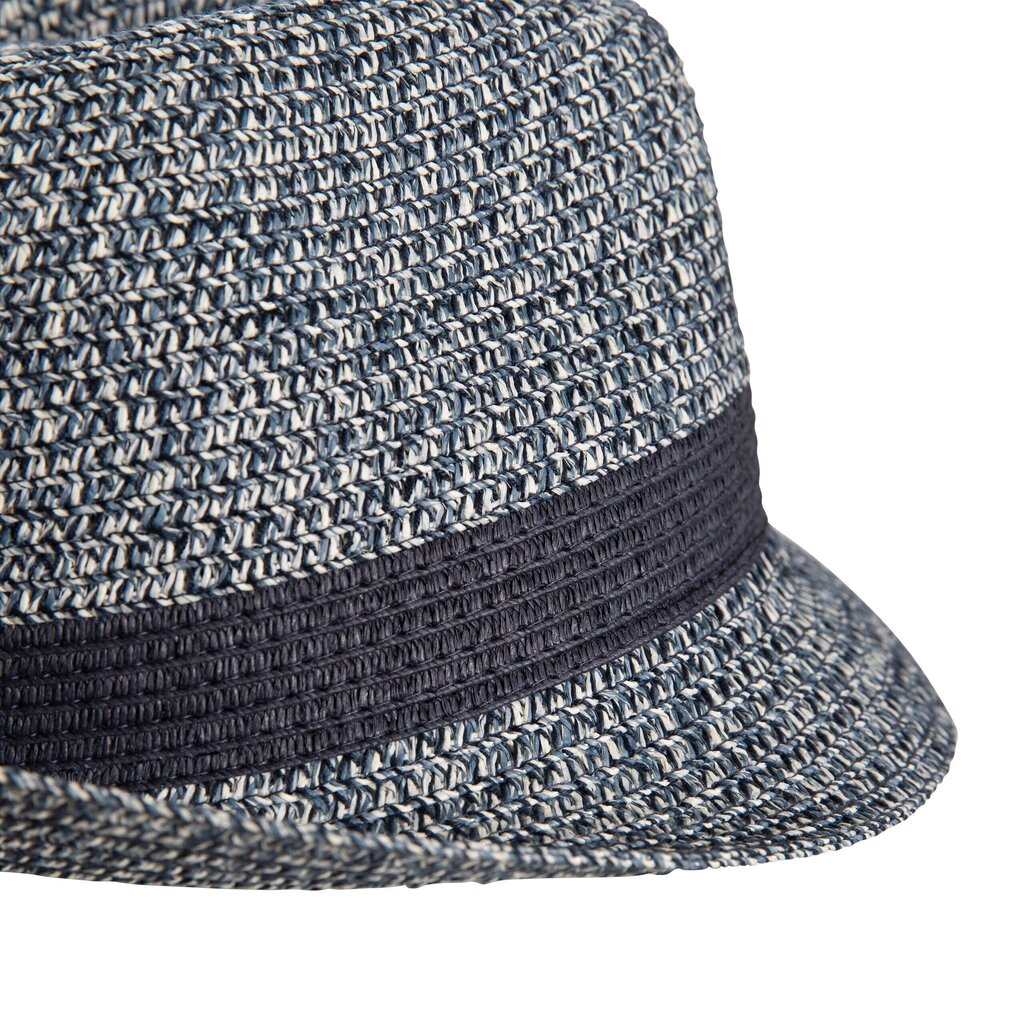 Meeste müts Trespass UAHSHATR0011 - Evanesce - Unisex Adult Trilby Hat hind ja info | Meeste sallid, mütsid ja kindad | kaup24.ee