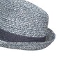 Meeste müts Trespass UAHSHATR0011 - Evanesce - Unisex Adult Trilby Hat hind ja info | Meeste sallid, mütsid ja kindad | kaup24.ee