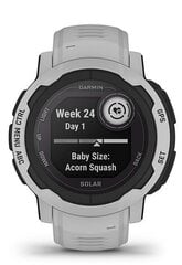 Garmin Instinct® 2 Solar Mist Gray 45mm hind ja info | Nutikellad (smartwatch) | kaup24.ee