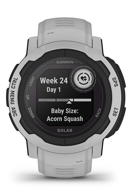 Garmin Instinct® 2 Solar Mist Gray hind ja info | Nutikellad (smartwatch) | kaup24.ee
