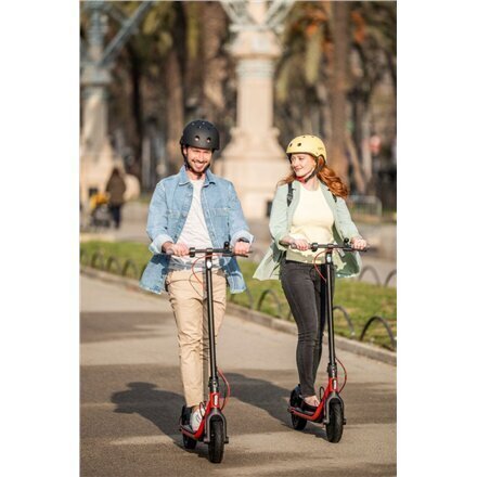 Elektritõukeratas Segway Ninebot Kickscooter D38E, 25 km / h цена и информация | Elektritõukerattad | kaup24.ee