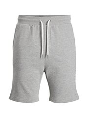 Мужские шорты Jack & Jones 12202197*01, светло-серые 5715212996267 цена и информация | Мужские шорты | kaup24.ee