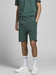 Jack & Jones meeste lühikesed püksid 12202197*03, roheline 5715212997011 hind ja info | Meeste lühikesed püksid | kaup24.ee