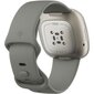 Fitbit Sense Sage Grey/Silver цена и информация | Nutikellad (smartwatch) | kaup24.ee