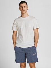 JACK & JONES meeste T-särk 12202040*04, valge 5715213061742 hind ja info | Meeste T-särgid | kaup24.ee