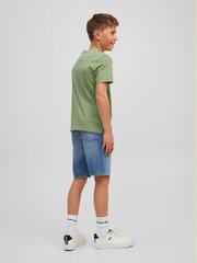 Jack & Jones laste T-särk 12214074*02, roheline 5715225210107 hind ja info | Poiste särgid | kaup24.ee