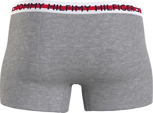 Мужские боксеры Tommy Hilfiger TRUNK, серые UM0UM01892 PKH 42406 цена и информация | Мужские трусы | kaup24.ee