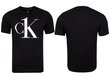 Meeste T-särk Calvin Klein S/S CREW NECK BLACK 000NM1903E 3WX 25646 hind ja info | Meeste T-särgid | kaup24.ee