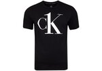 Мужская футболка Calvin Klein S/S CREW NECK BLACK 000NM1903E 3WX 25646
