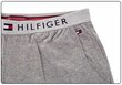 Lühikesed püksid Tommy Hilfiger JERSEY SHORT GRAY UM0UM01203 004 26109 hind ja info | Meeste lühikesed püksid | kaup24.ee