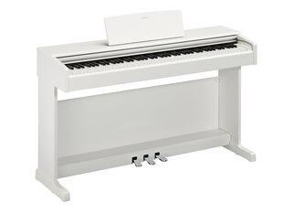 Цифровое пианино Yamaha YDP-145 WH цена и информация | Yamaha Музыкальные инструменты и аксессуары | kaup24.ee