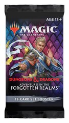 Kaardimäng Magic The Gathering: Adventures in the Forgotten Realms Set Booster hind ja info | Lauamängud ja mõistatused | kaup24.ee