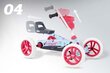 Kartauto Buzzy Nitro hind ja info | Poiste mänguasjad | kaup24.ee