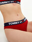 Tommy Hilfiger naiste bikiinipüksid, punane UW0UW02773 XLG 42219 цена и информация | Naiste aluspüksid | kaup24.ee