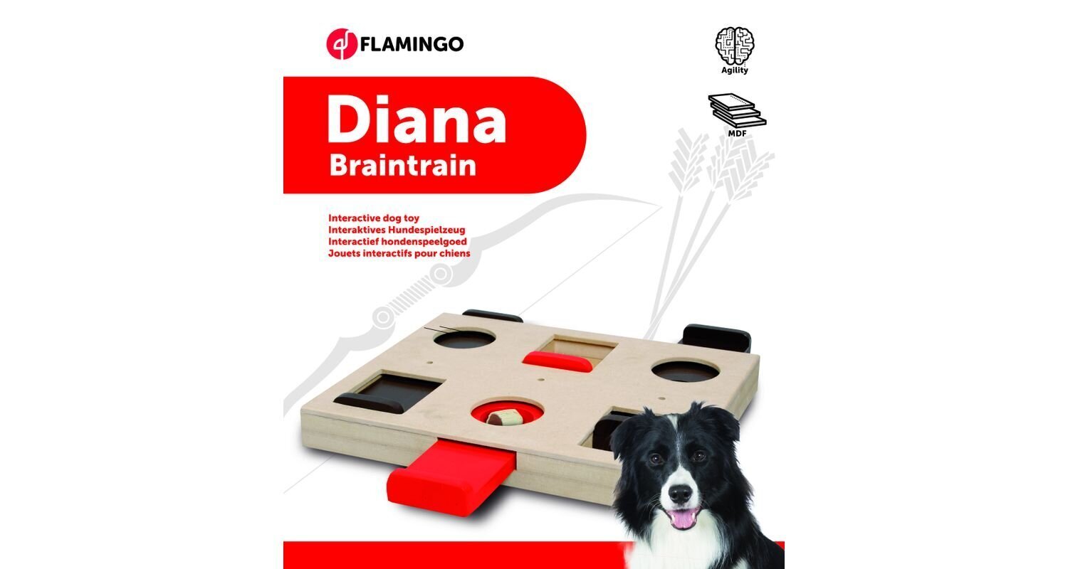 Flamingo interaktiivne puidust mänguasi Diana koertele 26x29,5cm цена и информация | Mänguasjad koertele | kaup24.ee