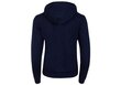 Naiste dressipluus Tommy Hilfiger TJW REGULAR FLEECE HOODIE NAVY DW0DW09228 C87 26935 hind ja info | Naiste kampsunid | kaup24.ee