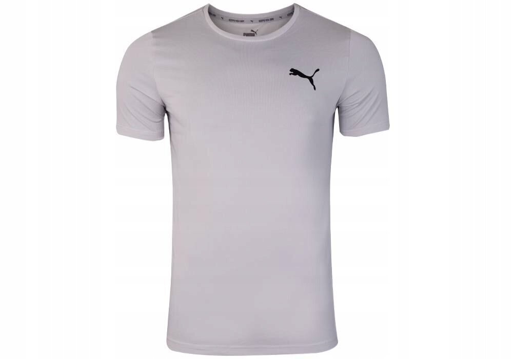 Meeste T-särk Puma ACTIVE SMALL LOGO TEE, hall 586725 09 38138 hind ja info | Meeste T-särgid | kaup24.ee