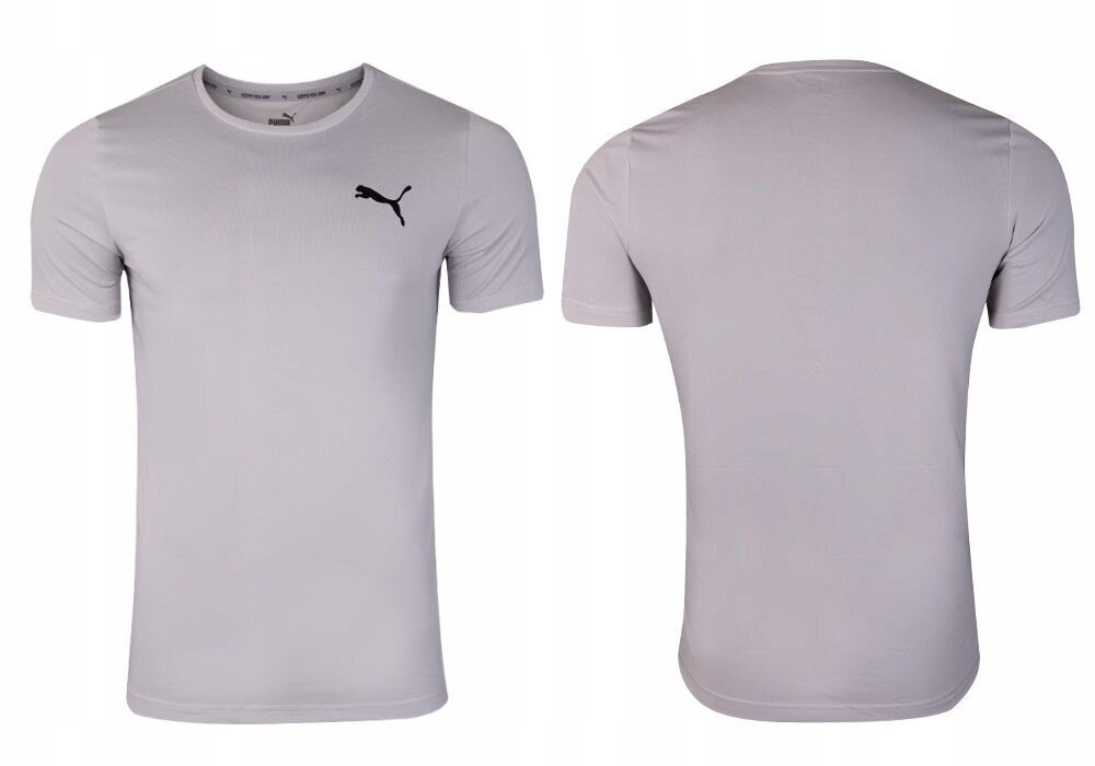 Meeste T-särk Puma ACTIVE SMALL LOGO TEE, hall 586725 09 38138 hind ja info | Meeste T-särgid | kaup24.ee