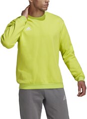 Adidas Džemprid Ent22 Sw Top Yellow HC5049 HC5049/XL hind ja info | Meeste pusad | kaup24.ee