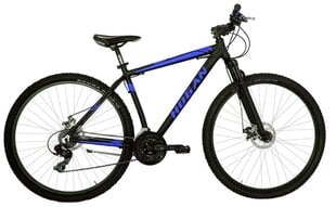 BICYCLE 29 MTB MAN BLACK BLUE 8001446121702 HOGAN