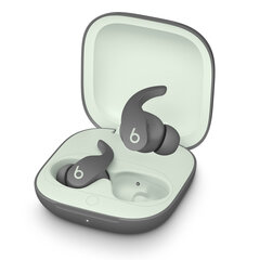 Beats Fit Pro True Wireless Earbuds Sage Grey MK2J3ZM/A цена и информация | Наушники | kaup24.ee