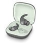 Beats Fit Pro True Wireless Earbuds — Sage Grey - MK2J3ZM/A hind ja info | Kõrvaklapid | kaup24.ee