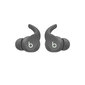 Beats Fit Pro True Wireless Earbuds — Sage Grey - MK2J3ZM/A цена и информация | Kõrvaklapid | kaup24.ee