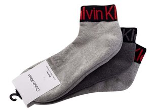 Мужские носки Calvin Klein 3 пары, серые 701218722 005 39819 цена и информация | Мужские носки | kaup24.ee