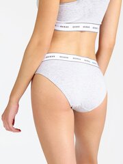 Женские трусики Guess CARRIE BRIEF, серые O97E02JR04P H905 40024 цена и информация | Трусики | kaup24.ee