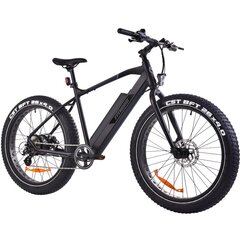 Elektriline fatbike FitNord Rumble 300 (690 Wh aku), raam 46 cm hind ja info | Elektrirattad | kaup24.ee