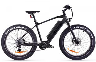 Elektriline fatbike FitNord Rumble 500 (690 Wh aku), raam 46 cm hind ja info | Elektrirattad | kaup24.ee