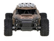 Maastikuauto RC Drift, 20 km/h, pruun hind ja info | Poiste mänguasjad | kaup24.ee