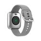 Forever ForeVigo 2 SW-310 Silver hind ja info | Nutikellad (smartwatch) | kaup24.ee