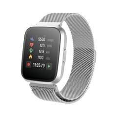 Nutikell Forever ForeVigo 2 SW-310 , hõbedane hind ja info | Nutikellad (smartwatch) | kaup24.ee