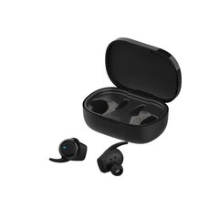 Наушники Forever Bluetooth earphones 4Sport TWE-300 black цена и информация | Наушники | kaup24.ee