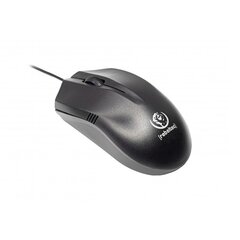 Rebeltec optical mouse USB 1,8m Wolf kaina ir informacija | Мыши | kaup24.ee