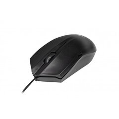 Rebeltec optical mouse USB 1,8m Wolf цена и информация | Rebeltec Компьютерная техника | kaup24.ee